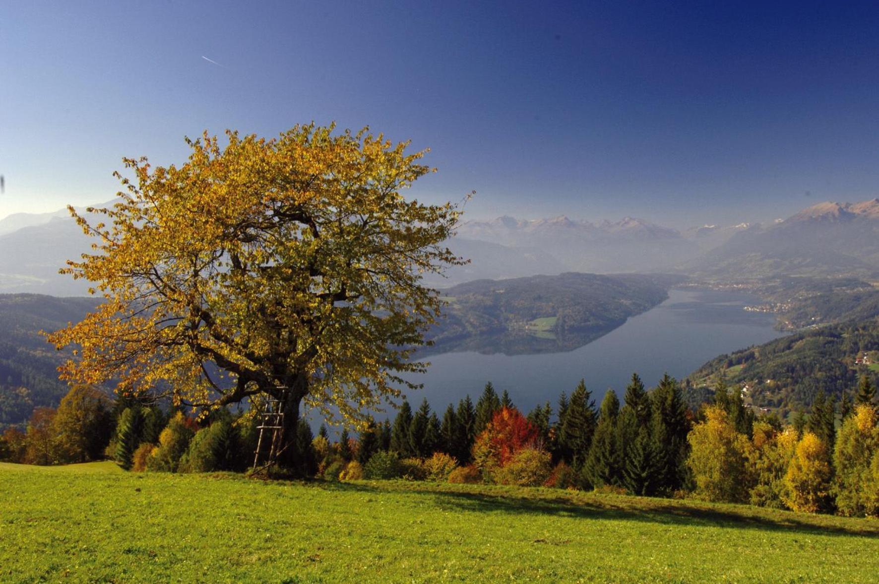 Gasthof Pension Perauer Lieserhofen ภายนอก รูปภาพ