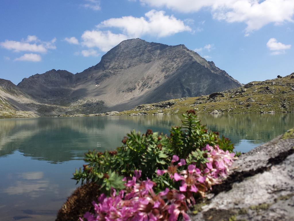 Gasthof Pension Perauer Lieserhofen ภายนอก รูปภาพ